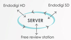 Item Number: EN102SW02 - endoDIGI Server License