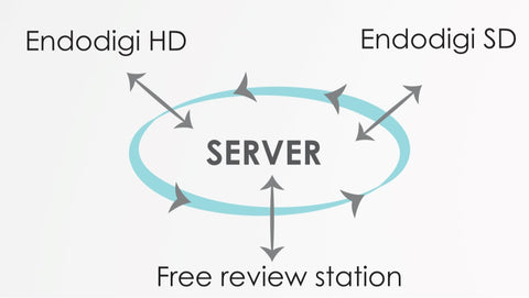 Item Number: EN102SW01 - endoDIGI Server