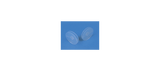 Nasal Septal Buttons